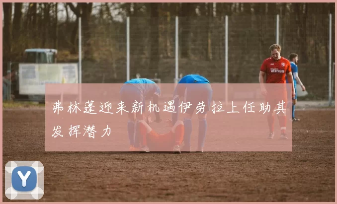 弗林蓬迎来新机遇伊劳拉上任助其发挥潜力