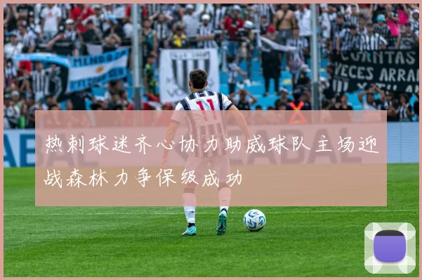 热刺球迷齐心协力助威球队主场迎战森林力争保级成功