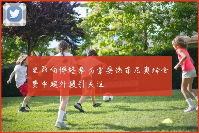 里昂向博塔弗戈索要热菲尼奥转会费中超外援引关注
