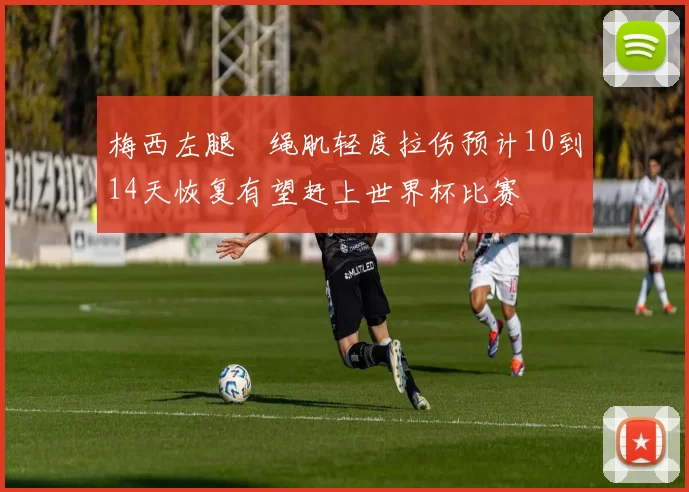 梅西左腿腘绳肌轻度拉伤预计10到14天恢复有望赶上世界杯比赛